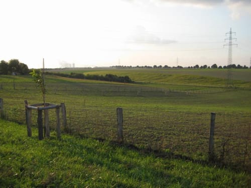 Streuobstwiesen-Tour bei Pulheim