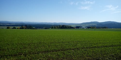 Goldsteig Südroute Etappe 8: Oberviechtach nach Neunburg vorm Wald
