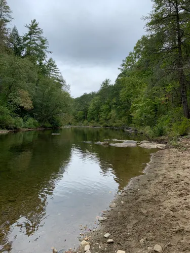 Best Hard Trails in Cohutta Wildlife Management Area | AllTrails