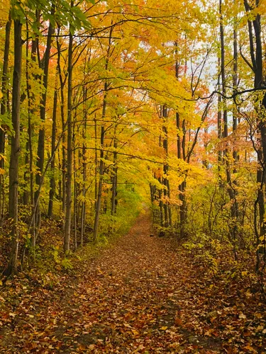 2023 Best 10 Trails and Hikes in Meaford | AllTrails