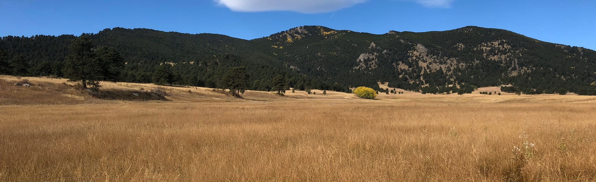 Founder's, Meadow View, Elk Ridge and Sleepy S Trail Loop, Colorado 1,019 Reviews, Map AllTrails