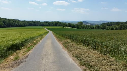 Niedenstein, N2 - Langenbergweg