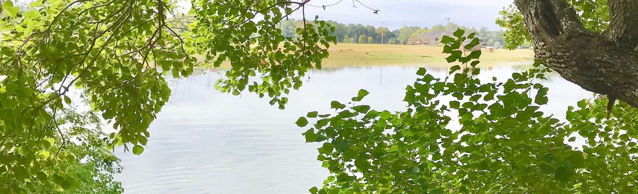 Gateway Park Loop 11 Photos Alabama Randonnée AllTrails