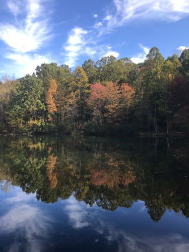 Best 10 Hikes And Trails In Moraine State Park 