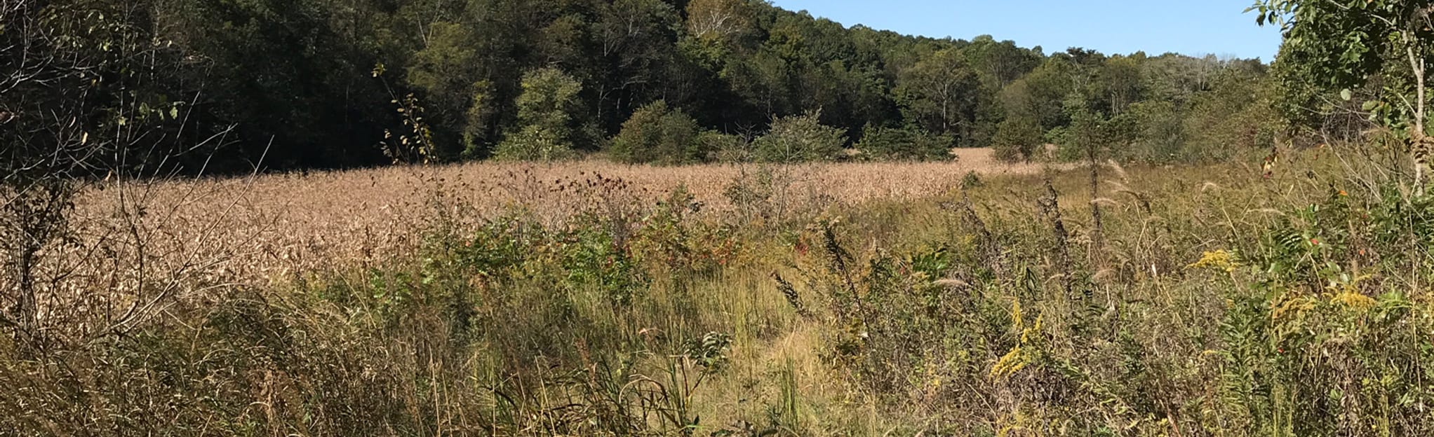 Apple Creek Trail, Missouri 35 Reviews, Map AllTrails