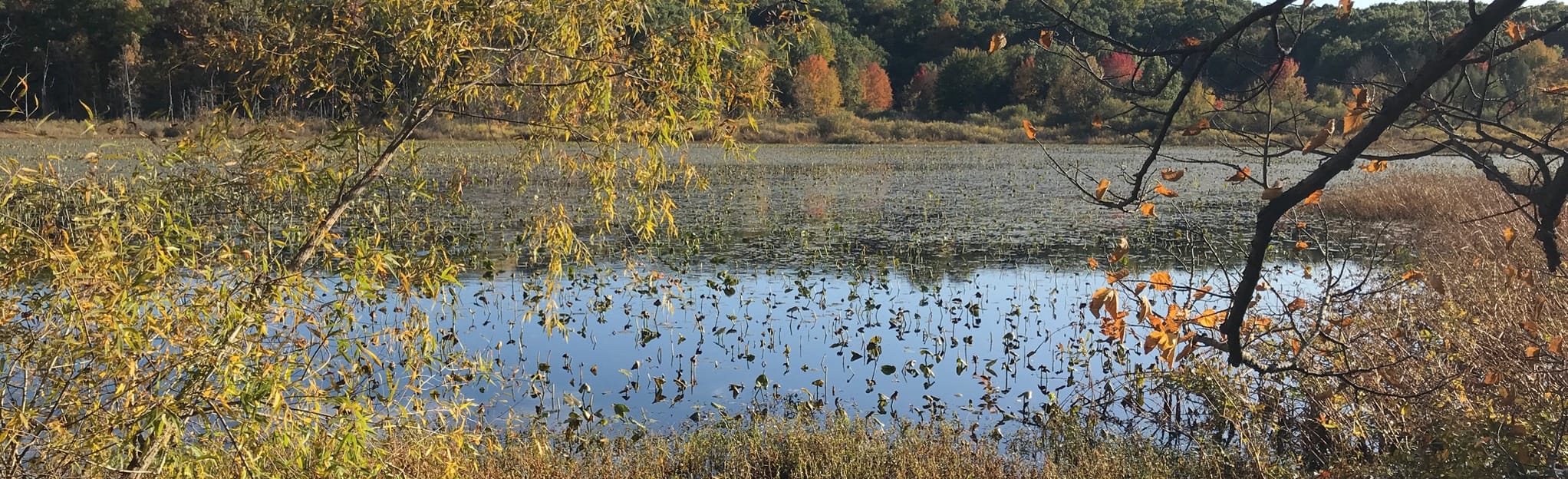 Pinckney State Recreation Area North Loop Map, Guide Michigan