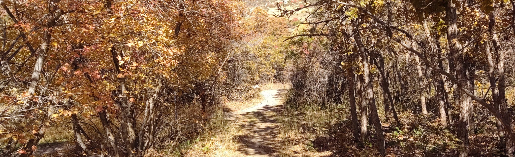 Spring, Rodeo Down, High Bench, Corkscrew and Ziggy Loop, Utah 64