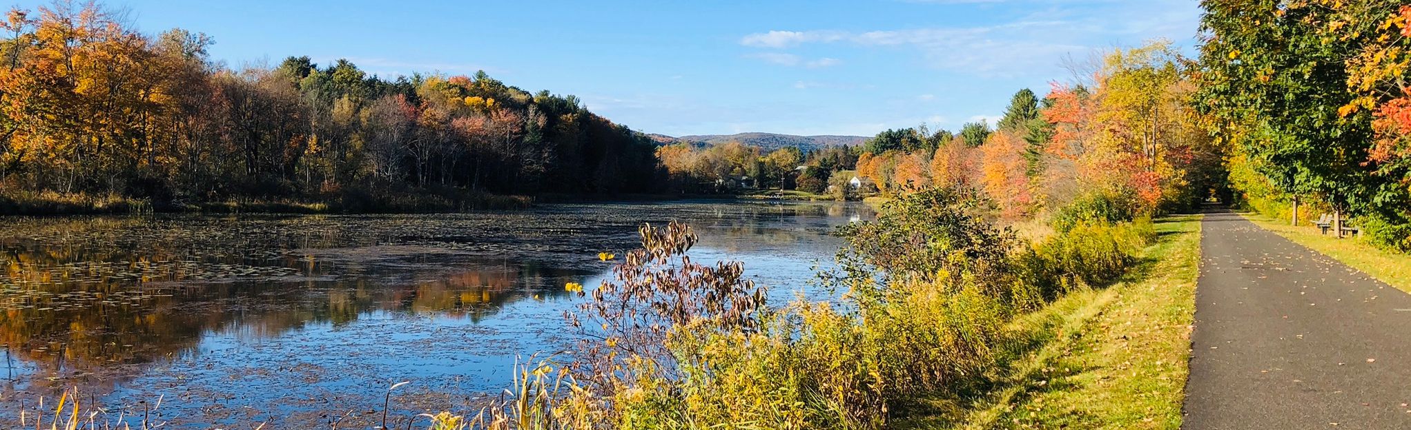 Escape to the Berkshires: A Journey on the Ashuwillticook Rail Trail