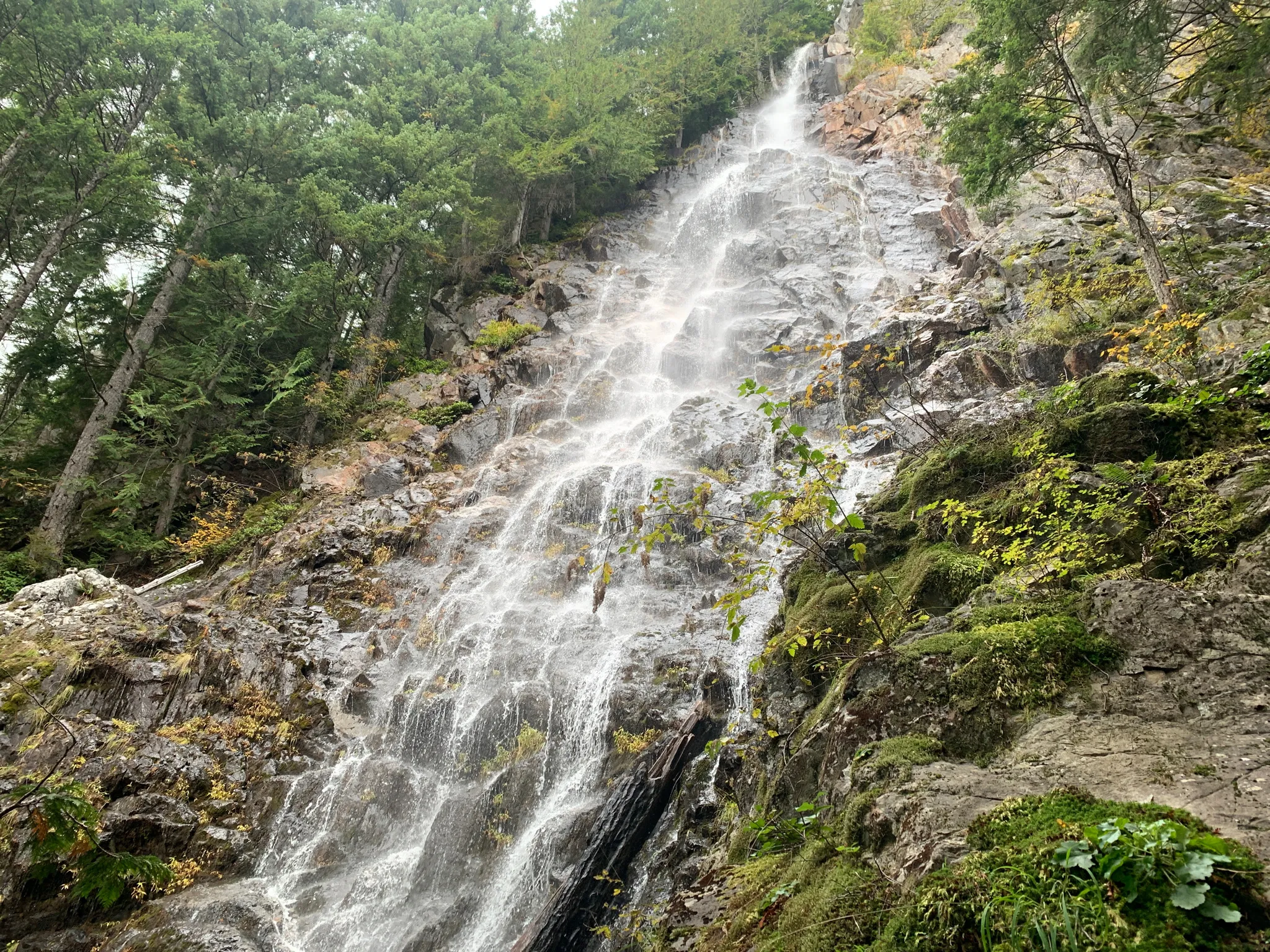 Photo of a trail from Anton Gadun with title Teneriffe Falls via Mount Si Trailhead