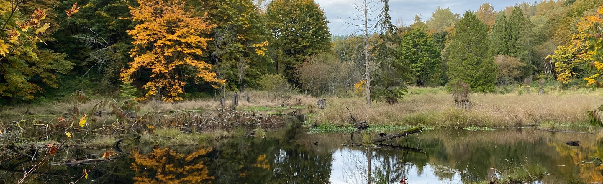 River View, Quarry Road and Quarry Trail Loop, Washington 106 Reviews