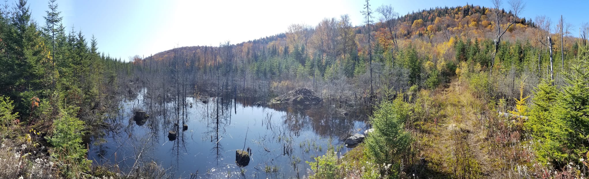 Montagne Noire vers Cap de la Fée 502 Photos Québec, Canada