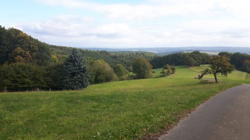 Mountainbike-Rundstrecke Brombachtal Br1