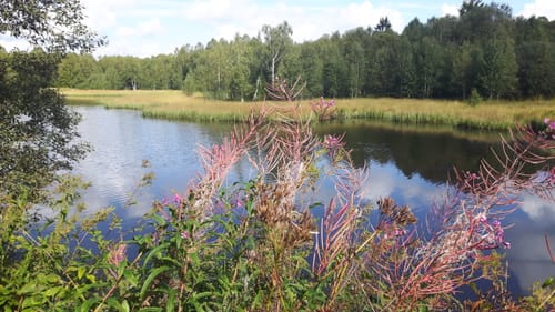 Rotes Moor (Extratour)
