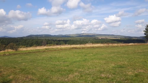 Wüstensachsen Rundweg 10