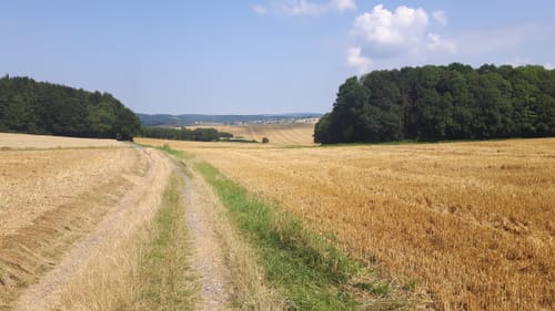 Nordic Walking Bad König Tour 9 : Von Zell zur Russeneiche