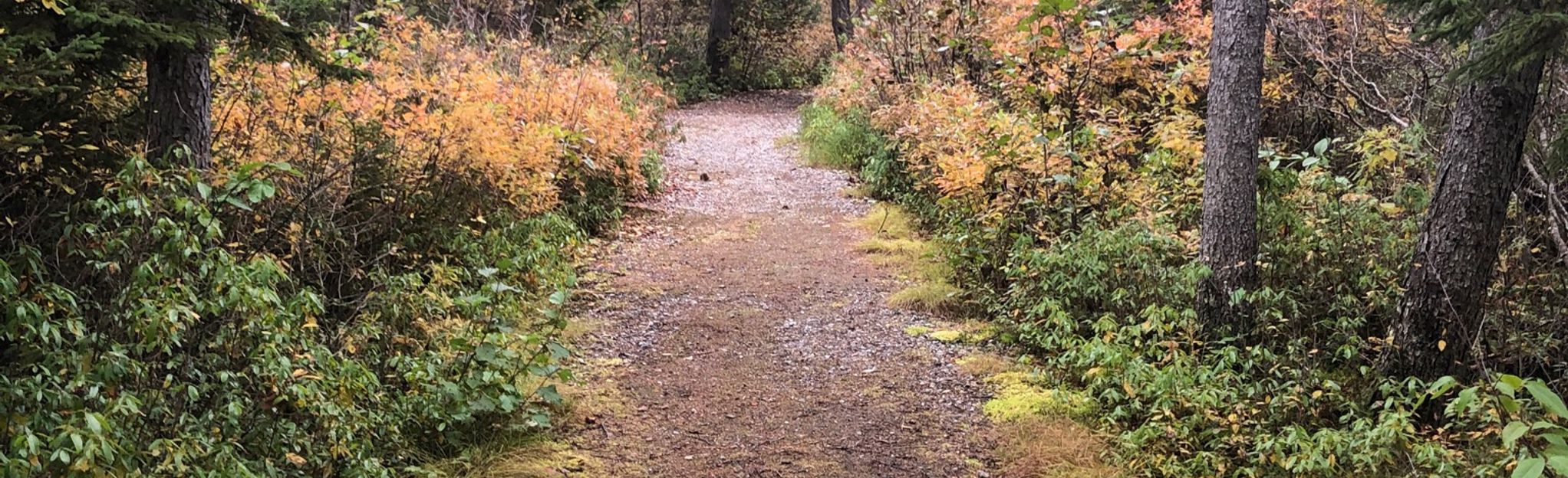 Loggers Memorial Trail: 3 Reviews, Map - Newfoundland and Labrador ...