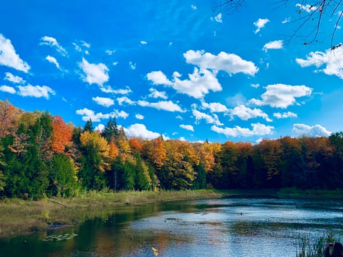 2023 Best Lake Trails in Pretty River Valley Provincial Park | AllTrails