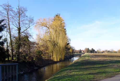 Sparkassen-Route 3 Reilingen