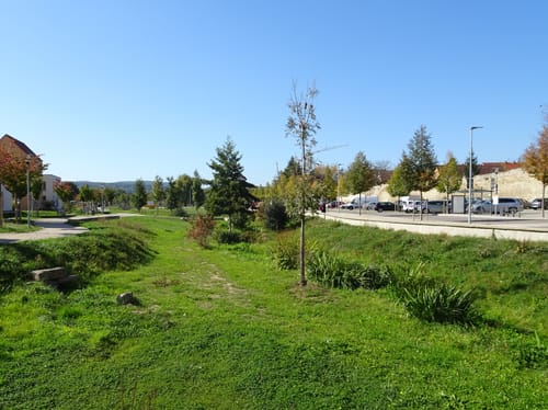Zaberfeld Trail