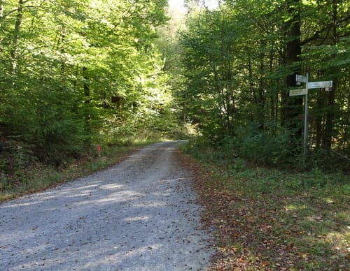 Zaberfeld Trail