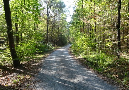 Zaberfeld Trail