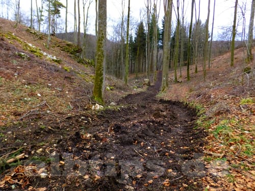 Seeburgsteig (Premiumwanderweg)