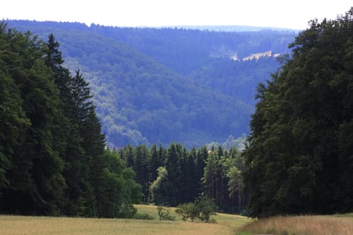 Premiumwanderweg: Wilde Täler - Fürstliche Höhen