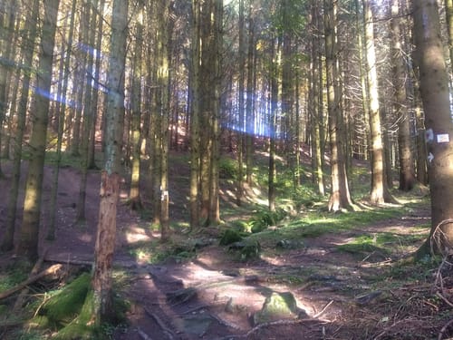 Brennberg und Hollbach