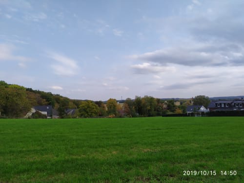 Haster Volkslauf 5,5 km