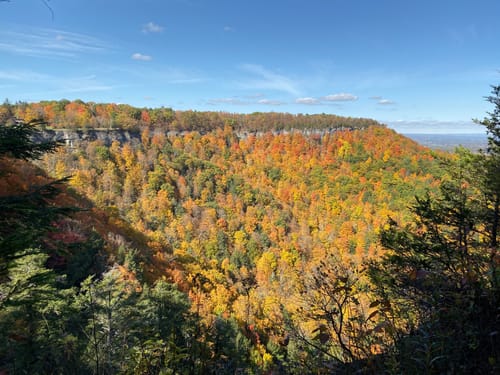 2023 Best 10 Trails in Thacher State Park  AllTrails