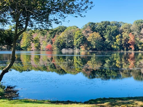 Caleb Smith State Park Parking