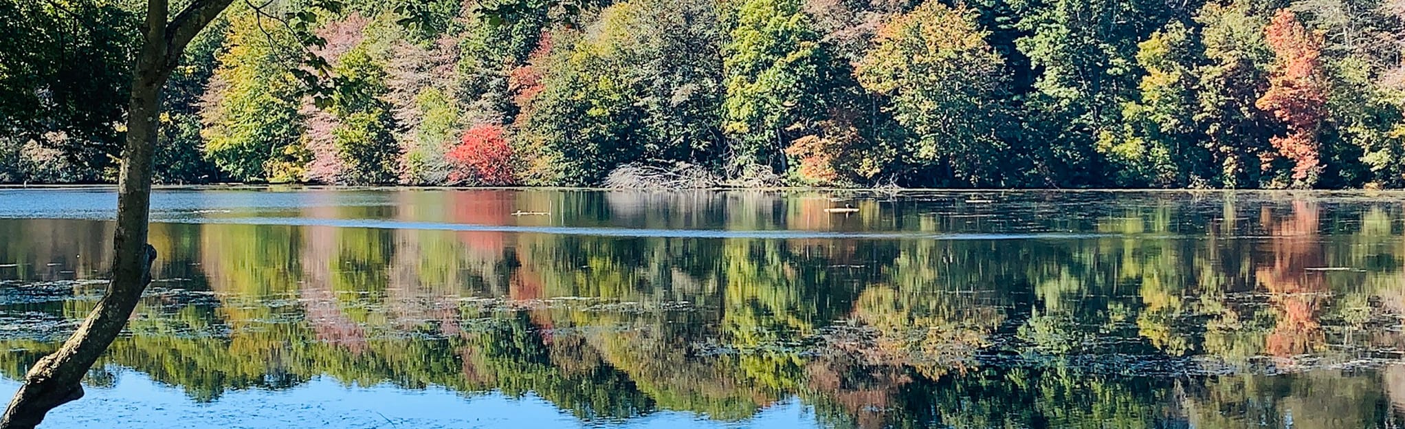 Willow Pond Pink, Green, and Purple Loop 79 Reviews, Map New York