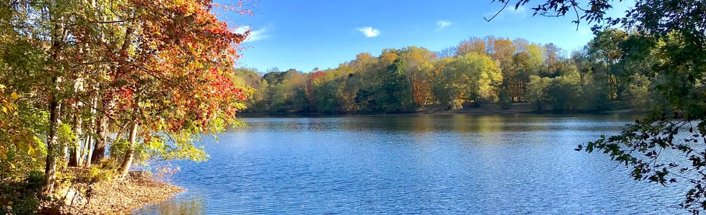 Explore the Beauty of Ramapo Valley County Reservation on a Suggested Hike