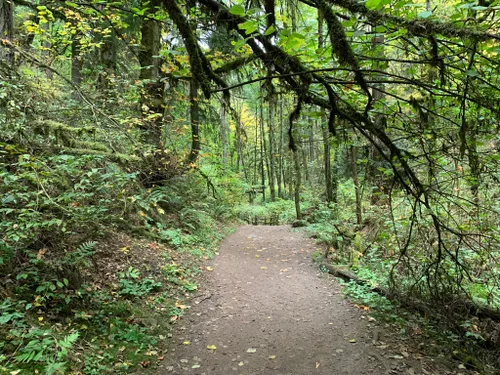 10 Best Trails and Hikes in Portland