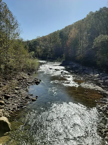Best River Trails in Otter Creek Wildlife Management Area | AllTrails
