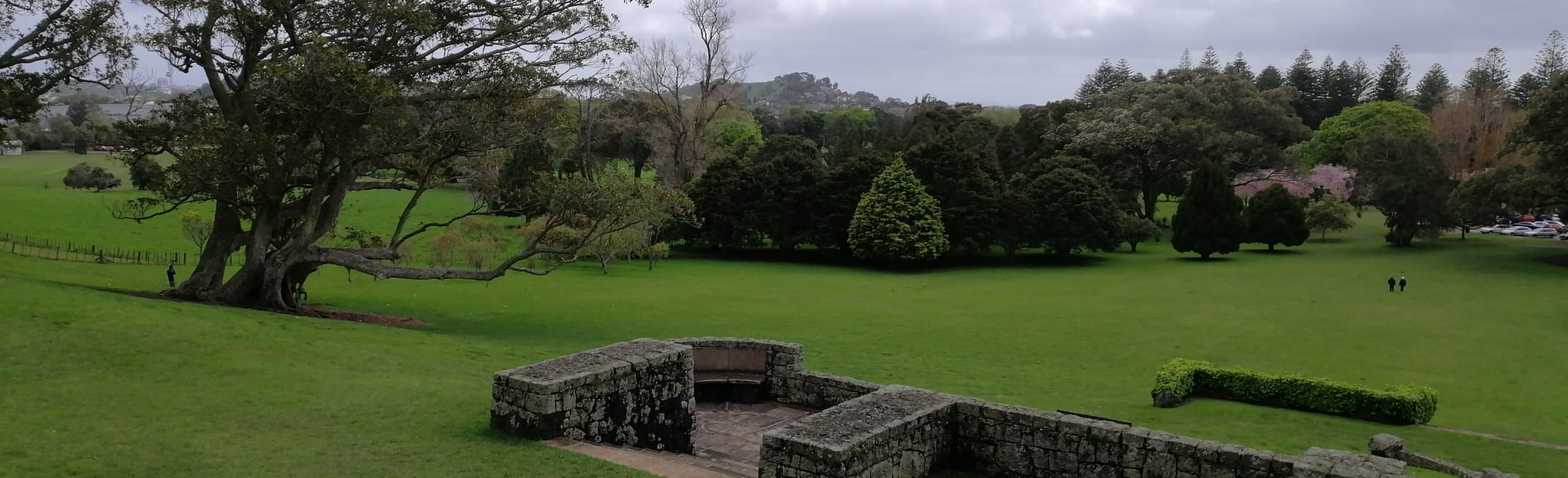 One Tree Hill Walk 23 Reviews, Map Auckland, New Zealand AllTrails