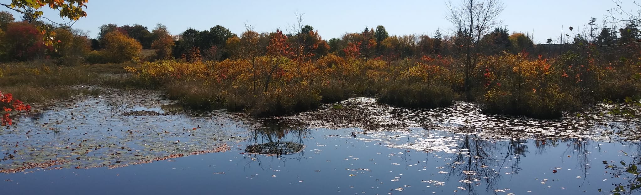 Crandall Family Preserve Public Viewing Platform Trail, Rhode Island