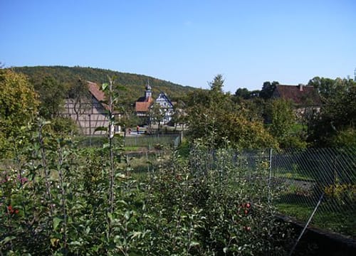 Museumstour (Premiumwanderweg)