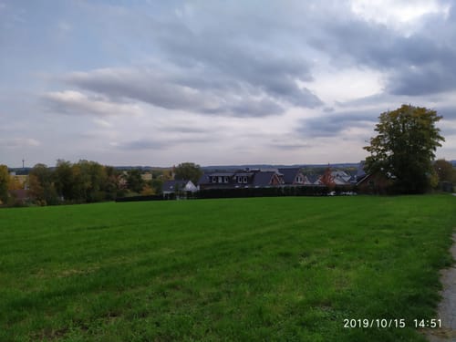 Haster Volkslauf 5,5 km