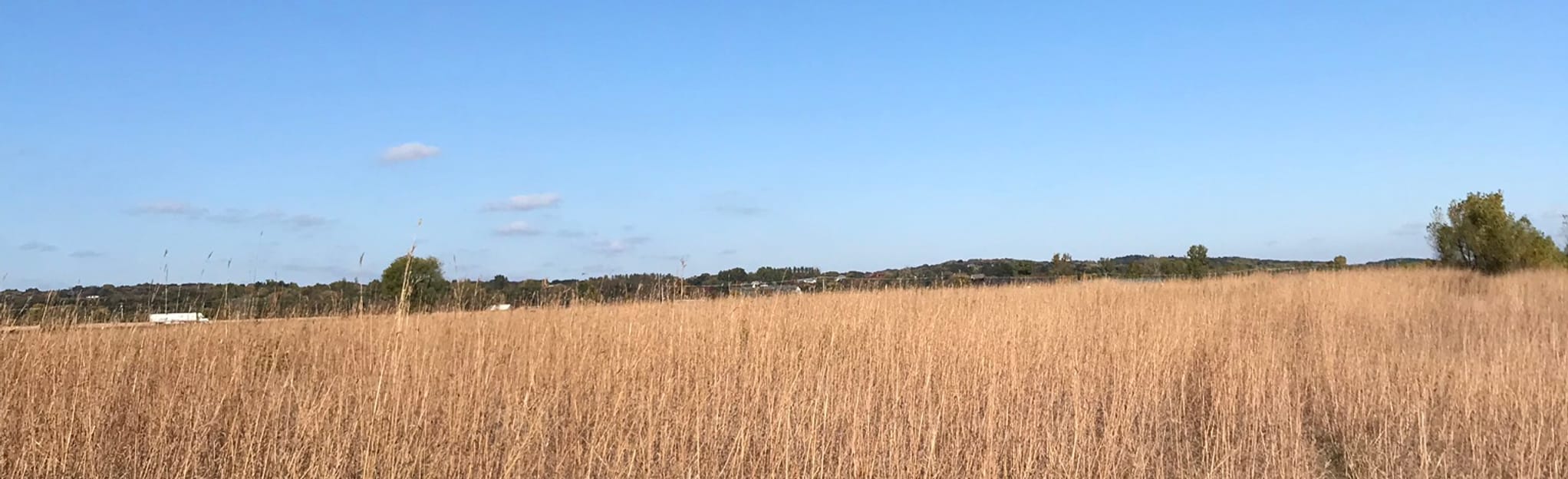 Bison, Butterfly, and Labyrinth Loop, Minnesota - 22 Reviews, Map ...