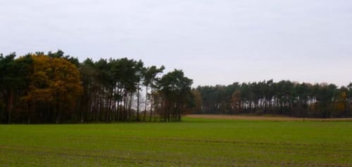 Lingen- Fürstenau