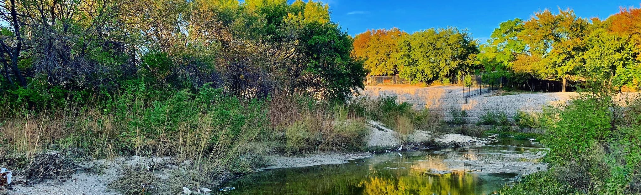Buffalo Ridge Park Trail 335 Reviews, Map Texas AllTrails