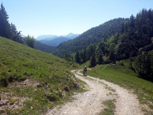 Hintere Scharnitz-Alm ab Bichleralm