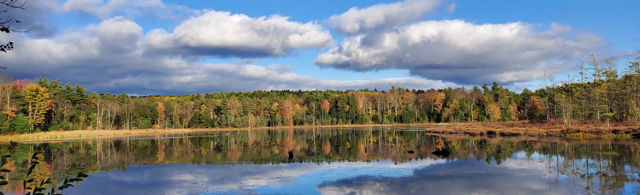 Oakley Corners State Forest Loop, New York - 590 Reviews, Map | AllTrails