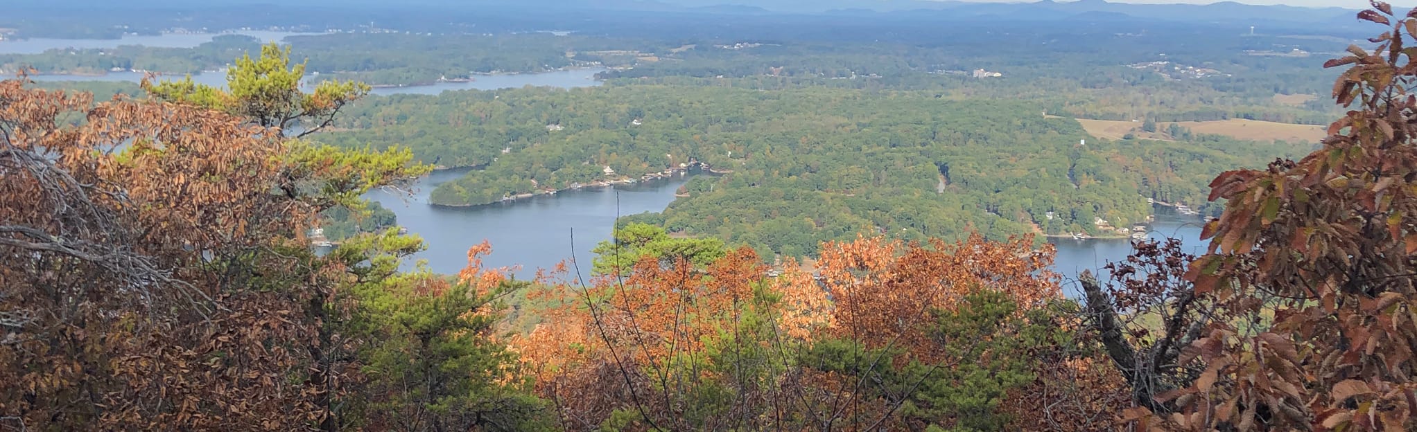 Smith Mountain Cooperative Wildlife Management Area, Virginia 130