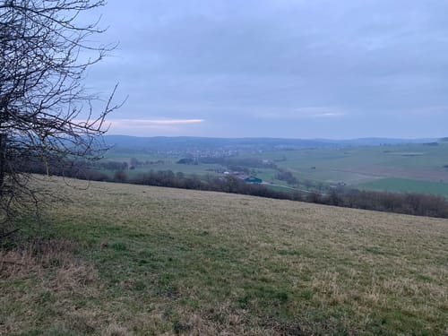 Zugangsweg Hermannshöhen - Bad Driburg