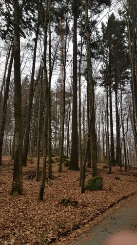 Mountainbike-Rundstrecke Heppenheim HP1