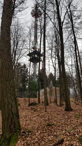 Mountainbike-Rundstrecke Heppenheim HP1