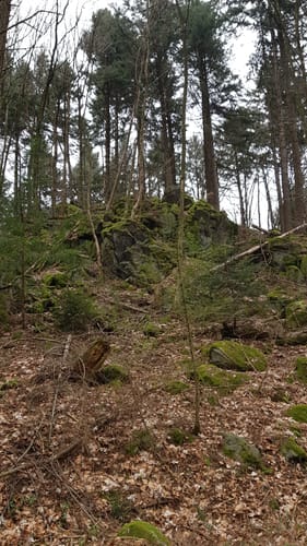 Mountainbike-Rundstrecke Heppenheim HP1