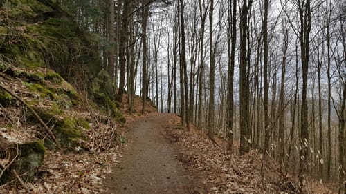 Mountainbike-Rundstrecke Heppenheim HP1